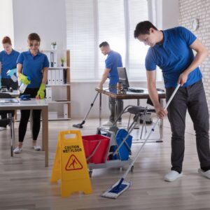 cleaning technicians
